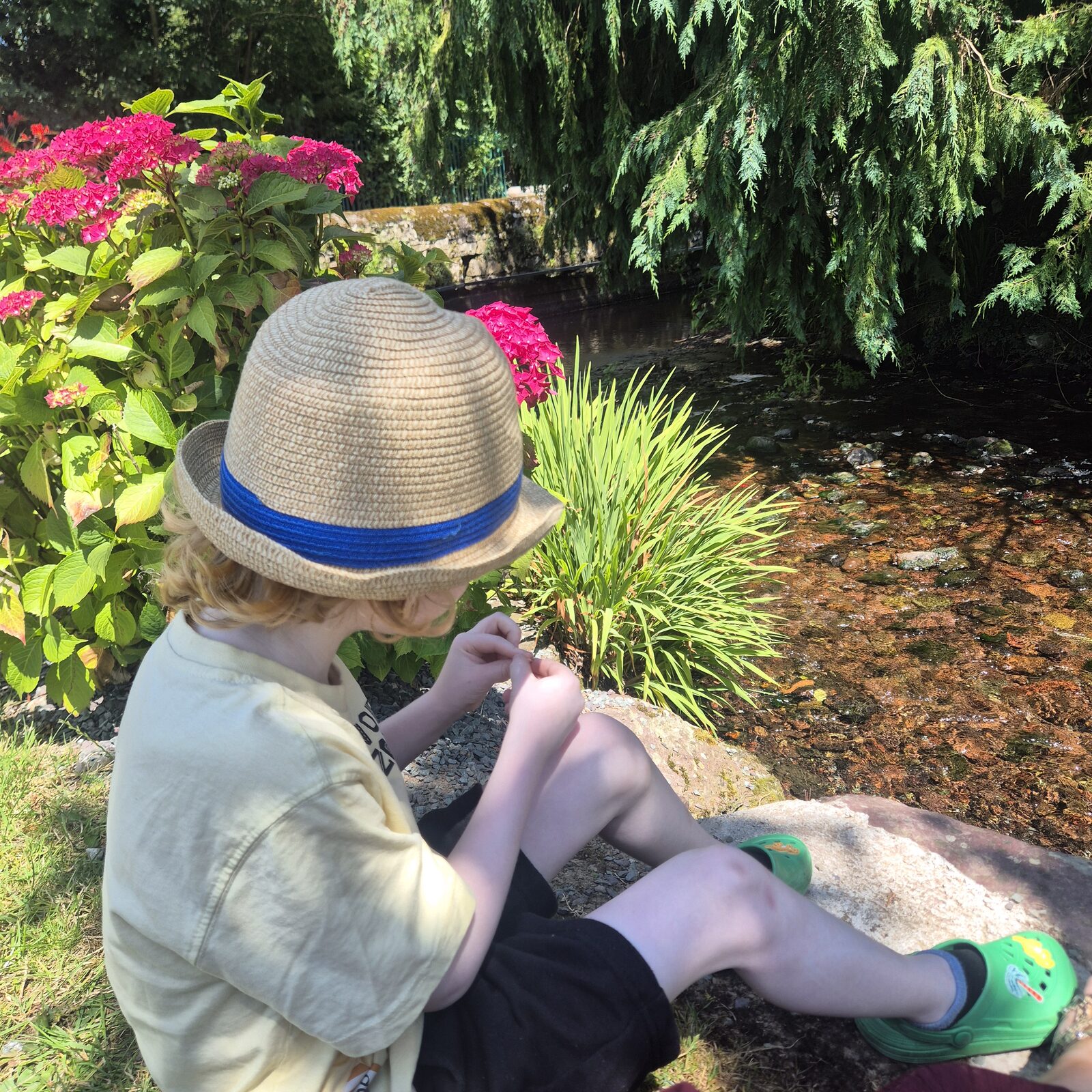 A child sitting beside a stream surrounded by flowers, fully absorbed
